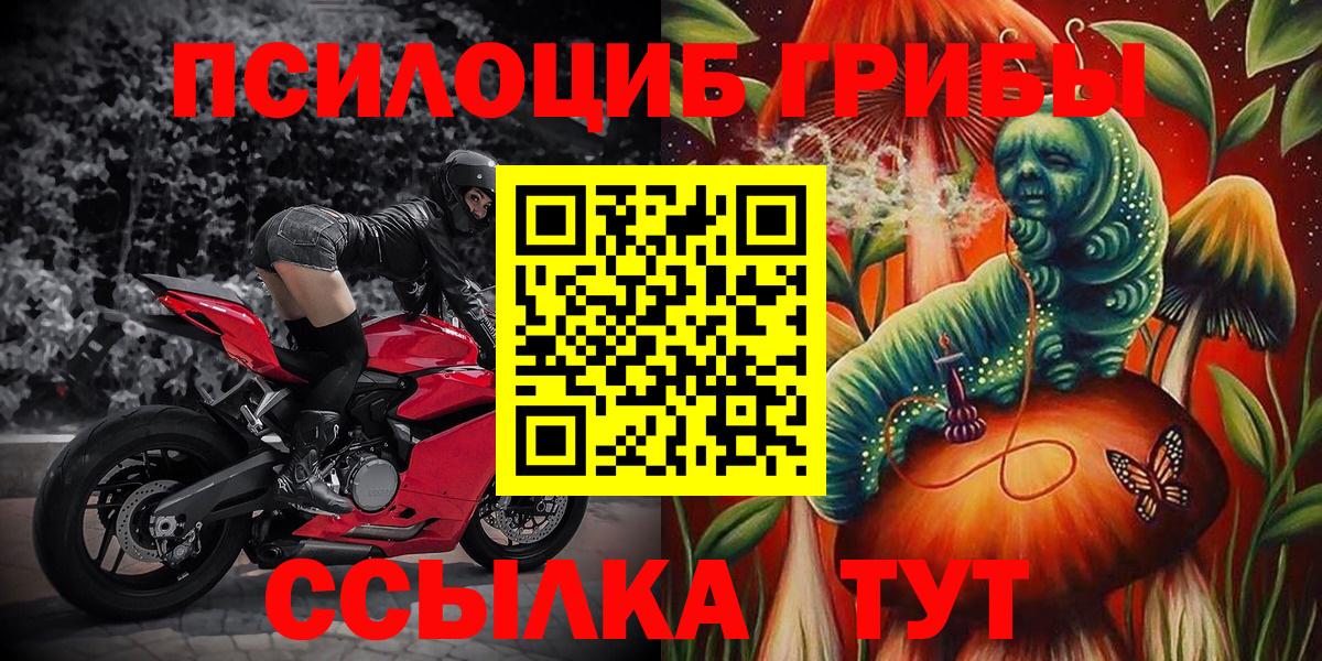 МЕФ Санкт-Петербург