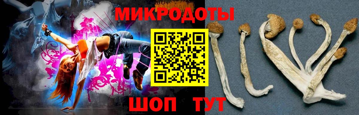Псилоцибиновые грибы мицелий  Вход с VPN  купить закладку  Санкт-Петербург 