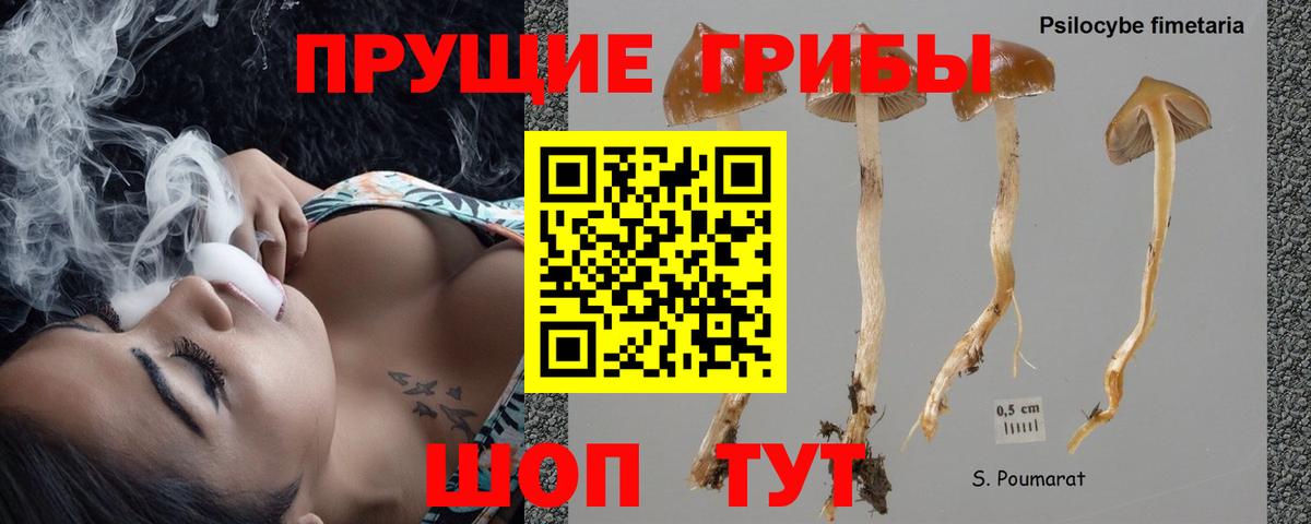 Псилоцибиновые грибы GOLDEN TEACHER Санкт-Петербург