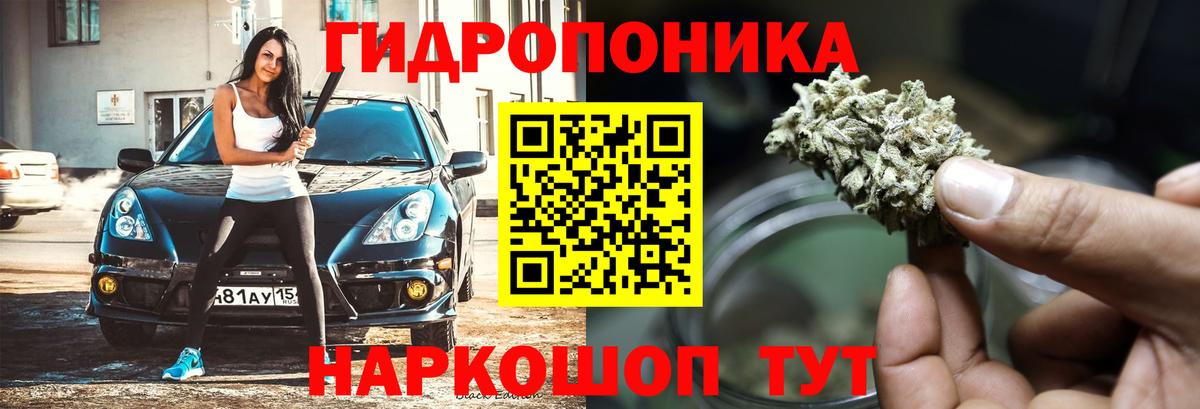 Канабис White Widow  Шишки марихуана LSD WEED  Бошки марихуана сатива  Вход с VPN  Санкт-Петербург  Бошки марихуана OG Kush 